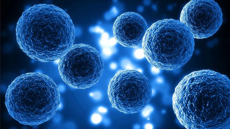 生物技术研发：开启健康与生命科学新时代