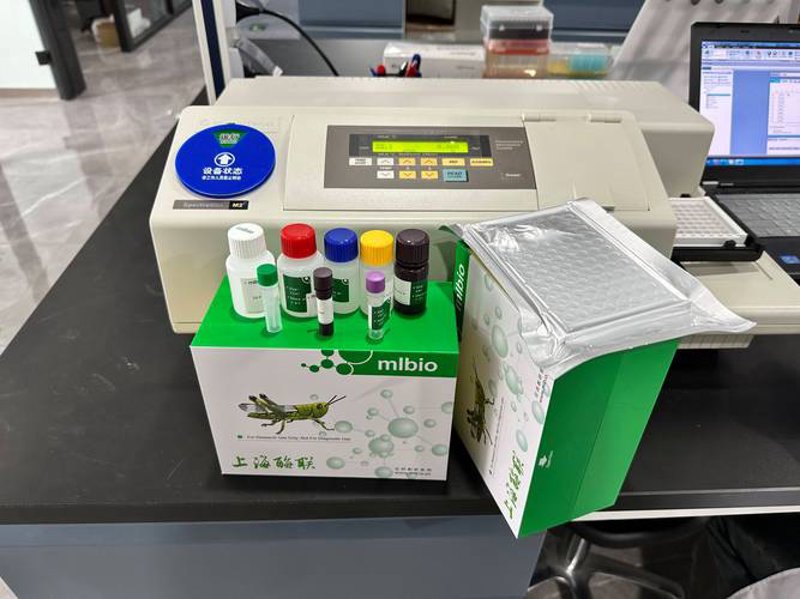 蛋白表达：选购指南
